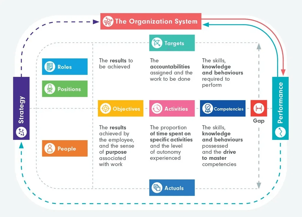 Graphic titled 'the organization as a system'